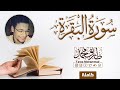           surah albaqarah  tareq mohammad