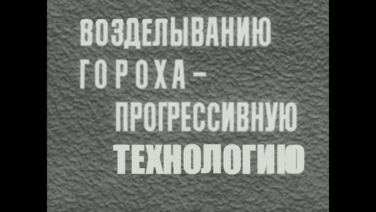 Курсовая работа: Технология возделывания гороха на зерно и на зеленый горошек