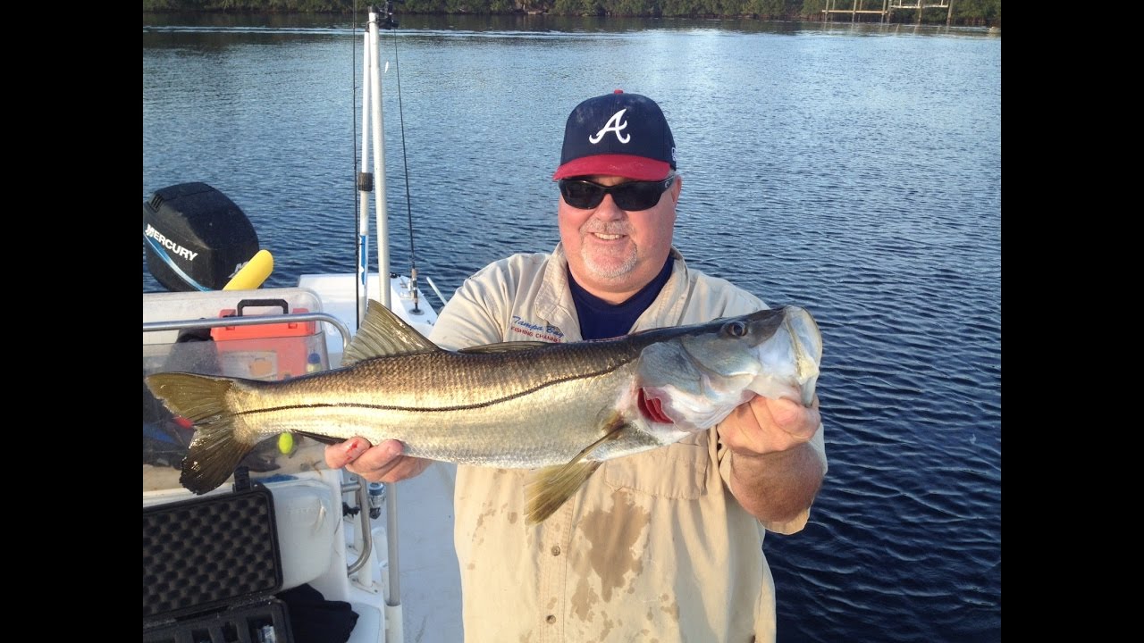 Saltwater Fishing In Florida YouTube