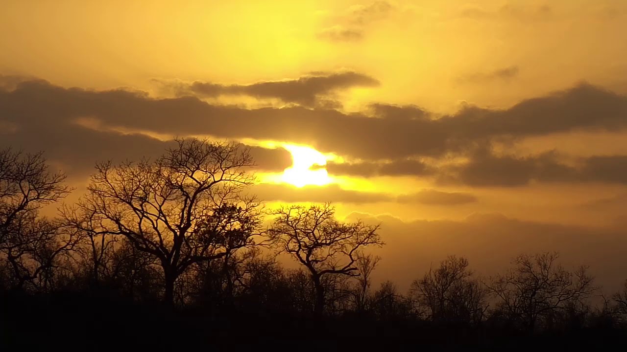 camera iphone 8 plus apk Djuma: Sunrise-Pt:2 - 06:52 - 07/25/19