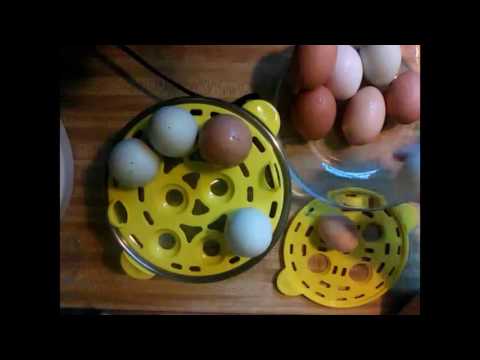 Hard Boiled Eggs & Egg Cooker Review