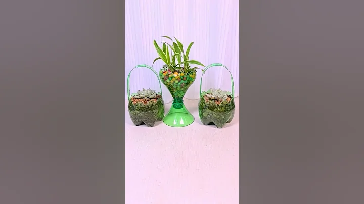 Beautiful flower plants recycle cutting bottle plastic make a pot so good idea #flowers #shorts #diy thumbnail