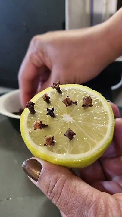 How to Get Rid of Fruit Flies – Cute DIY Projects