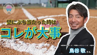 前編】鳥谷敬さん 元阪神タイガース・千葉ロッテマリーンズ内野手 夢を