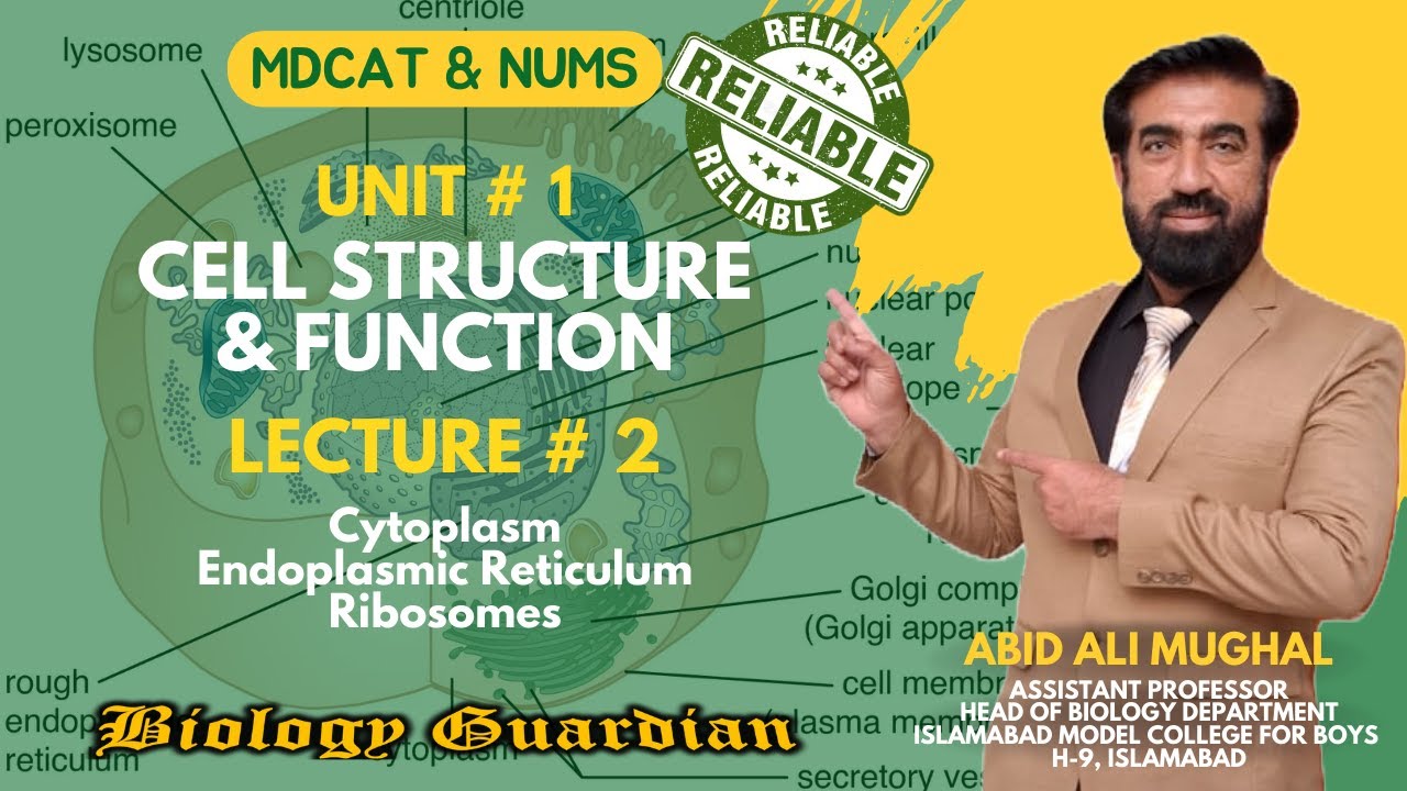 #MDCAT Biology Unit 1 - Cell Structure & Function | Lecture 2 | Biology ...