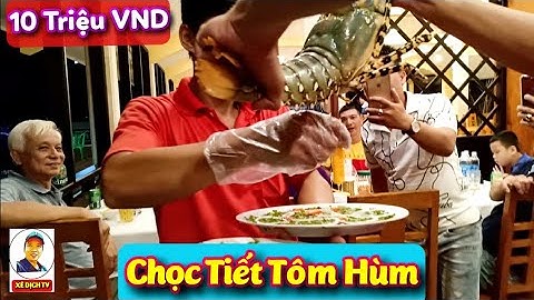 Cận Cảnh Chọc Tiết Tôm Hùm 10 Triệu Làm 3 Món Nhậu Tại Nhà Hàng Hải Sản Cây Bàng (Phan Thiết)