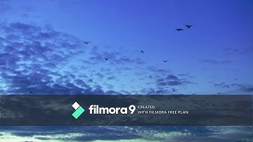 Algorithmic music Teuta