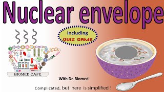 Nuclear Envelope Structure And Function