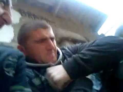 რეზბისმწყვეტელი გოლიათი