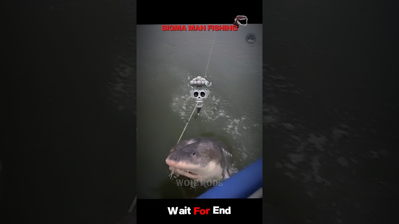 Others Fishing Techniques VS Last One 💀🥶🔥 | Sigma Fishing Skills 😶‍🌫️ | 