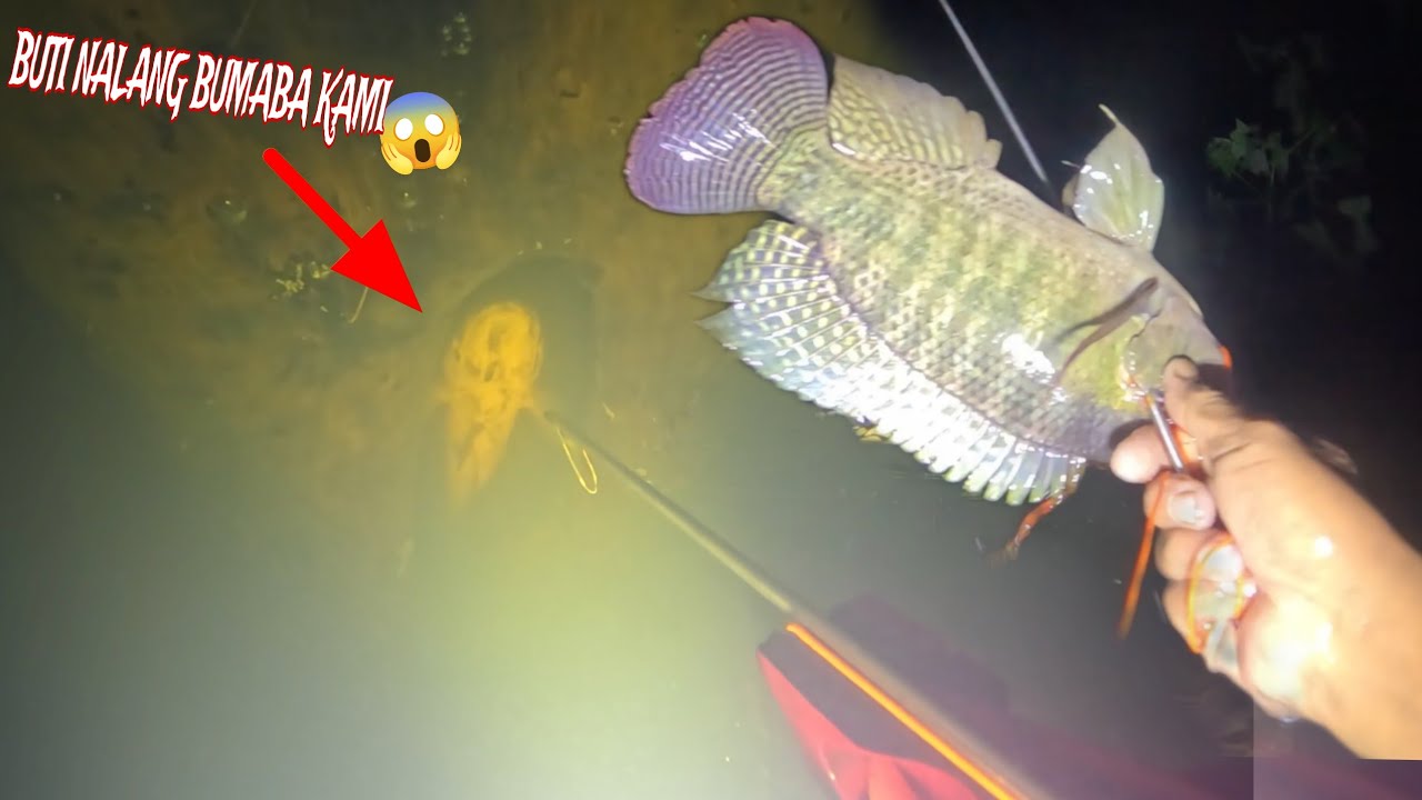 Mahahaba at Malalapad mga  Nahuli Namin Ngayon! Ang dami😱