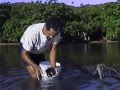 The Limu Project Ka Uluwehi O Ke Kai The Limu Project Ka Uluwehi O Ke Kai