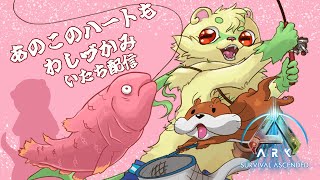 【ASA：PC】どうくついくうう