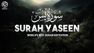 Surah Yaseen - The Aayah | سورة يس - آية