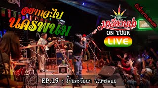 มาลีฮวนน่า LIVE EP.19 : ร้านตะวันนา จ.นครพนม #ต่องานแสดง 0817972636 คุณ ภูมินทร์