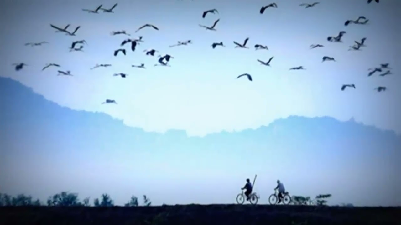 Hình ảnh nông thôn Việt nam và nhạc Quê hương - youtube