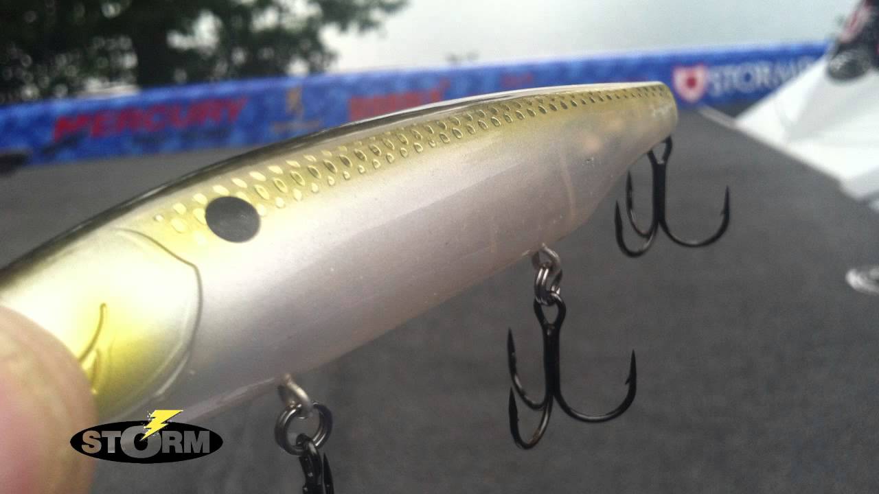 Walkin The Dog With Storm Arashi Top Walker Youtube