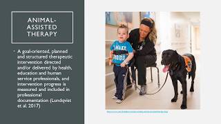 Animal-assisted Therapy in Occupational Therapy