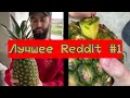 Видео, которые я нашёл на Reddit #1 (Лучшие приколы 2020/Ноябрь)