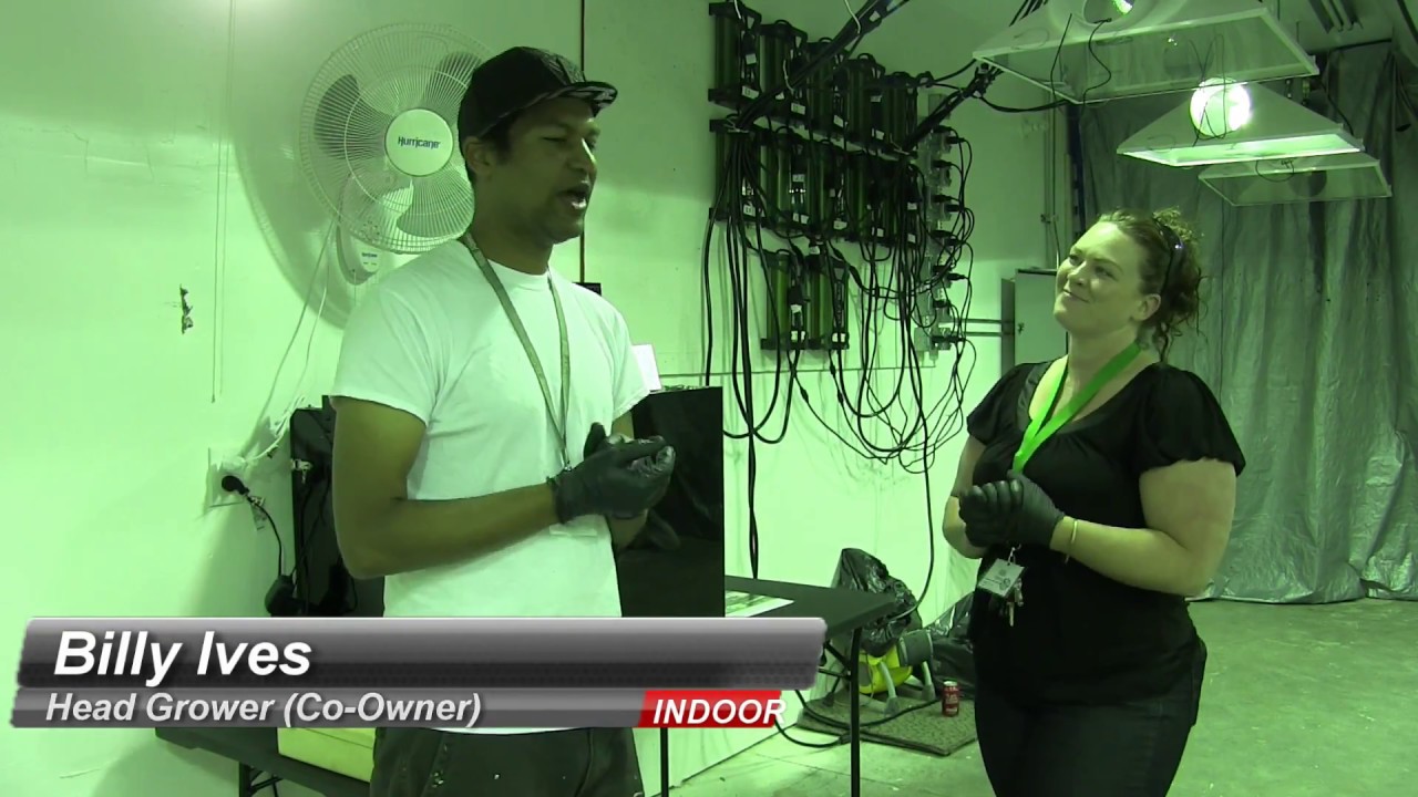 Wet Trimming or Dry Trimming & Why: Northwest Pearl