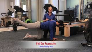 Lumbar Stability: Bird Dog Progression