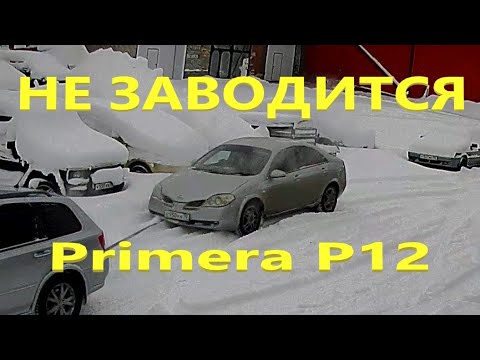 Nissan Primera не заводится