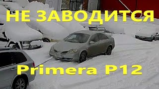 видео: Nissan Primera не заводится картинка: Nissan Primera не заводится