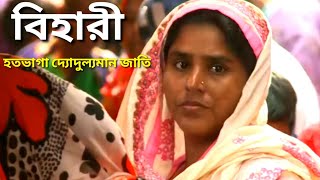 বহর - হতভগ দযদলযমন উরদভষ জত বহরদর সকষপত ইতহস