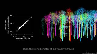 Collecting data on woodland and forest resources non-destructively with Terrestrial Laser Scanners