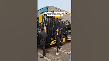 INI DIA SOSOK KA NIA KATULISTIWA PRAMUGARI BARU TUNAS MUDA🤩🫰 #shorts #busmania