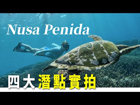 Nusa Penida 努沙佩尼達島四大浮潛點實拍🤿