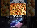 encontaste al pájaro?#memes#humor#viral#100k#shorts