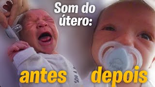 FIZEMOS O NOAH PARAR DE CHORAR COM SOM DE ÚTERO