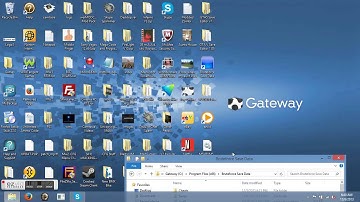 How To Make Bruteforce Save Data Resigner Work