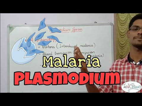 Video: Plasmodium Falciparumin Esiintyvyyden Tila-ajallinen Analyysi Menestyksen Ymmärtämiseksi Ja Malarian Torjunnan Tulevaisuuden Kartoittamiseksi Keniassa