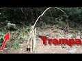 Trampa para toda tipo de animal fácil de hacer