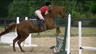 Hunter Lesson Raws✿