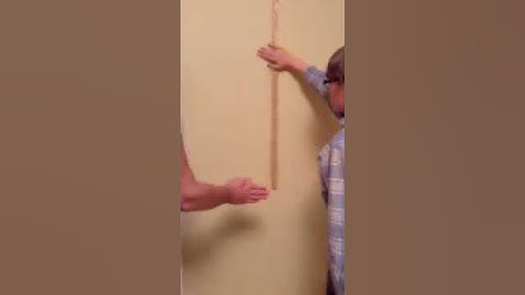 Reaction Time Experiment