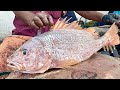 FISH CUTTING | FISH CUTTING SKILLS | FISH CUTTING VIDEOS #kasimedu | UK SONS MARINE