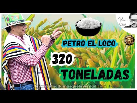 PRESIDENTE PETRO EL LOCO (SAE)