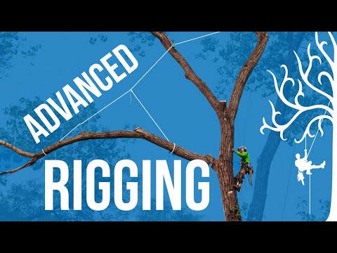 Advanced Rigging techniques, over lines: how to use GRCS for lifting  branches. Dangerous trees 