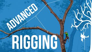 Advanced Rigging techniques, over lines: how to use GRCS for lifting branches. Dangerous trees