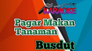 Pagar Makan Tanaman Gambus Karaoke