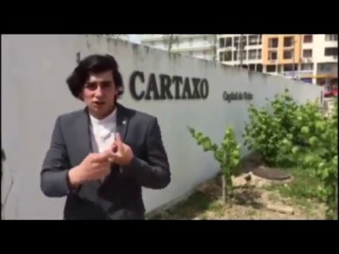 Cartaxo, a capital do vinho