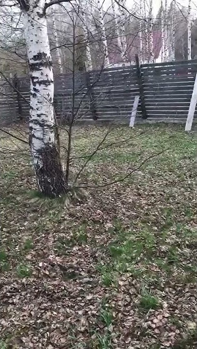 youtube.com