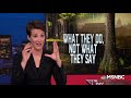 Corruption 20 Paragon Of Corruption At Trump Interior Draws Eye Of Congress | Rachel Maddow | MSNBC