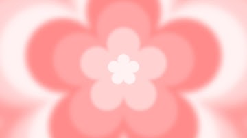 4K 1 Hour Pink Screen Aesthetic Flower Loop Background Video Screensaver