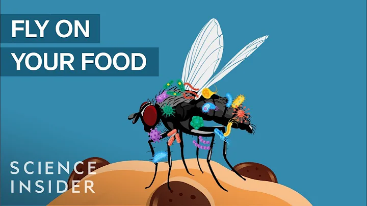 What Happens When A Fly Lands On Your Food - DayDayNews