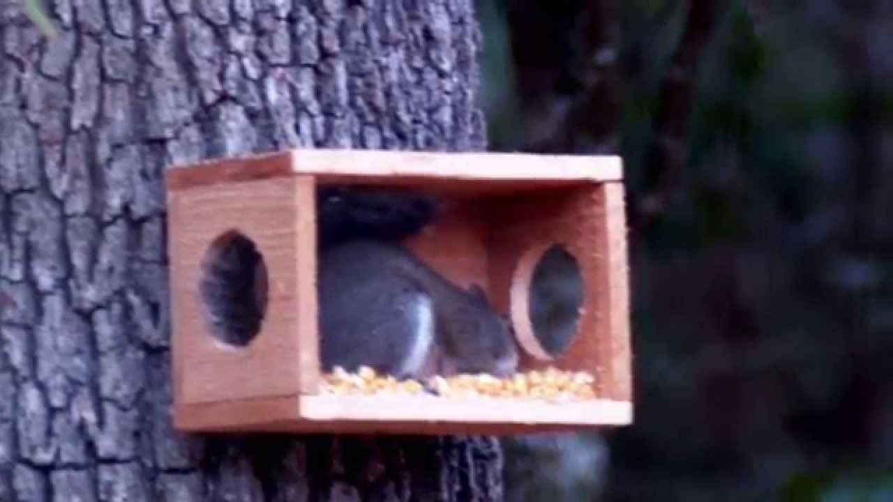 Squirrel Feeder With Window, Hand Made/Crafted, Cedar Wood 