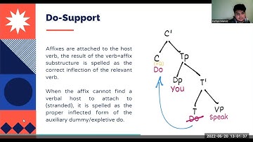 Syntax - Group 7:  T to C Movement, Do-Support, Wh-Movement